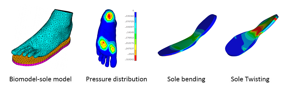 Sole analysis